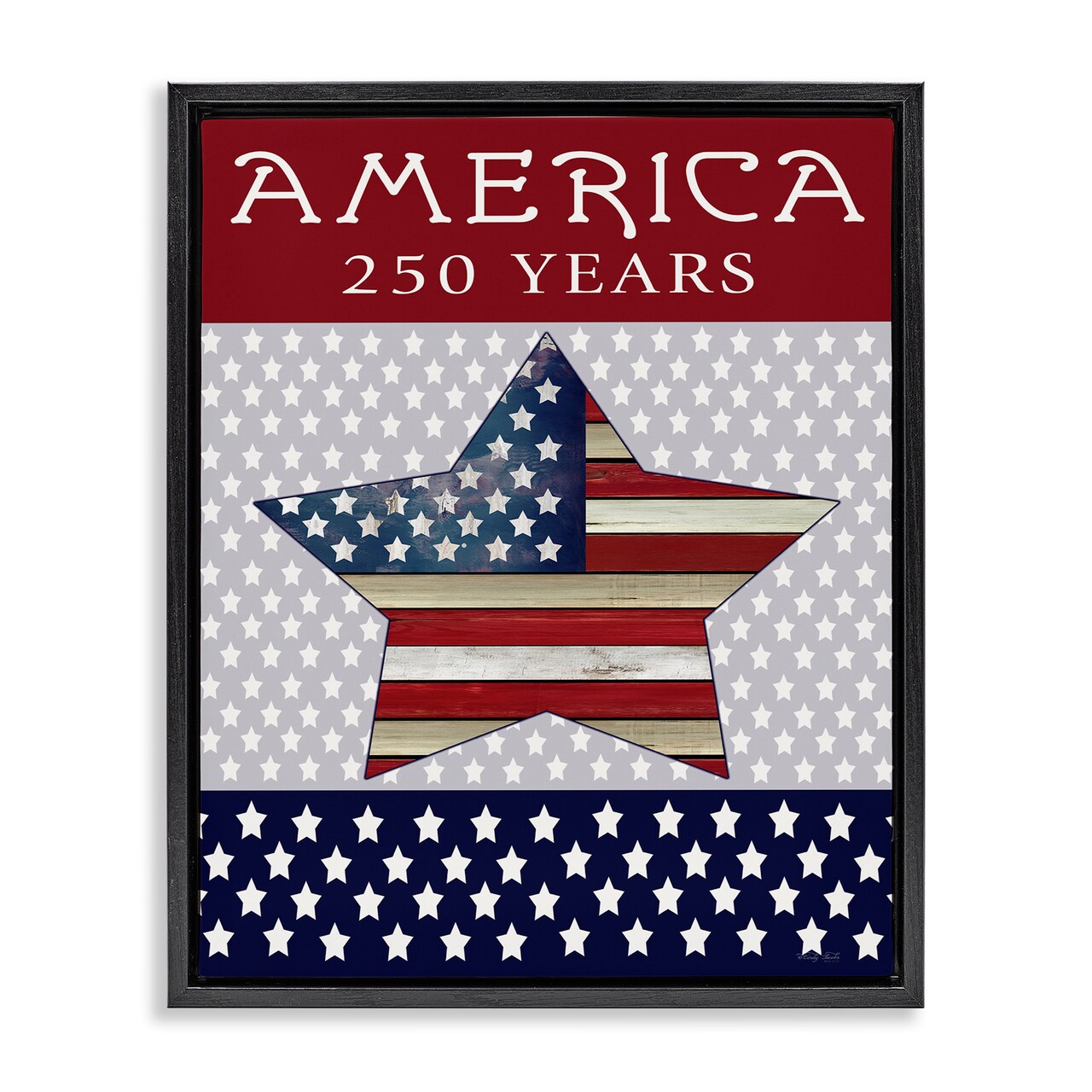 Stupell Industries Historic America 250 Years Floating Frame, design by Cindy Jacobs